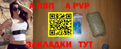 стаф Тула
