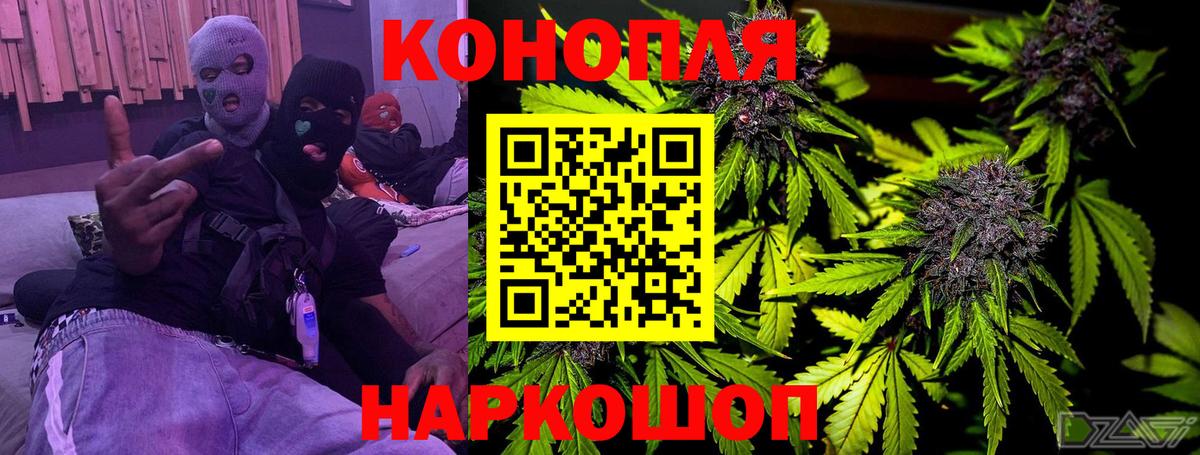 Бошки Шишки план Гусь-Хрустальный
